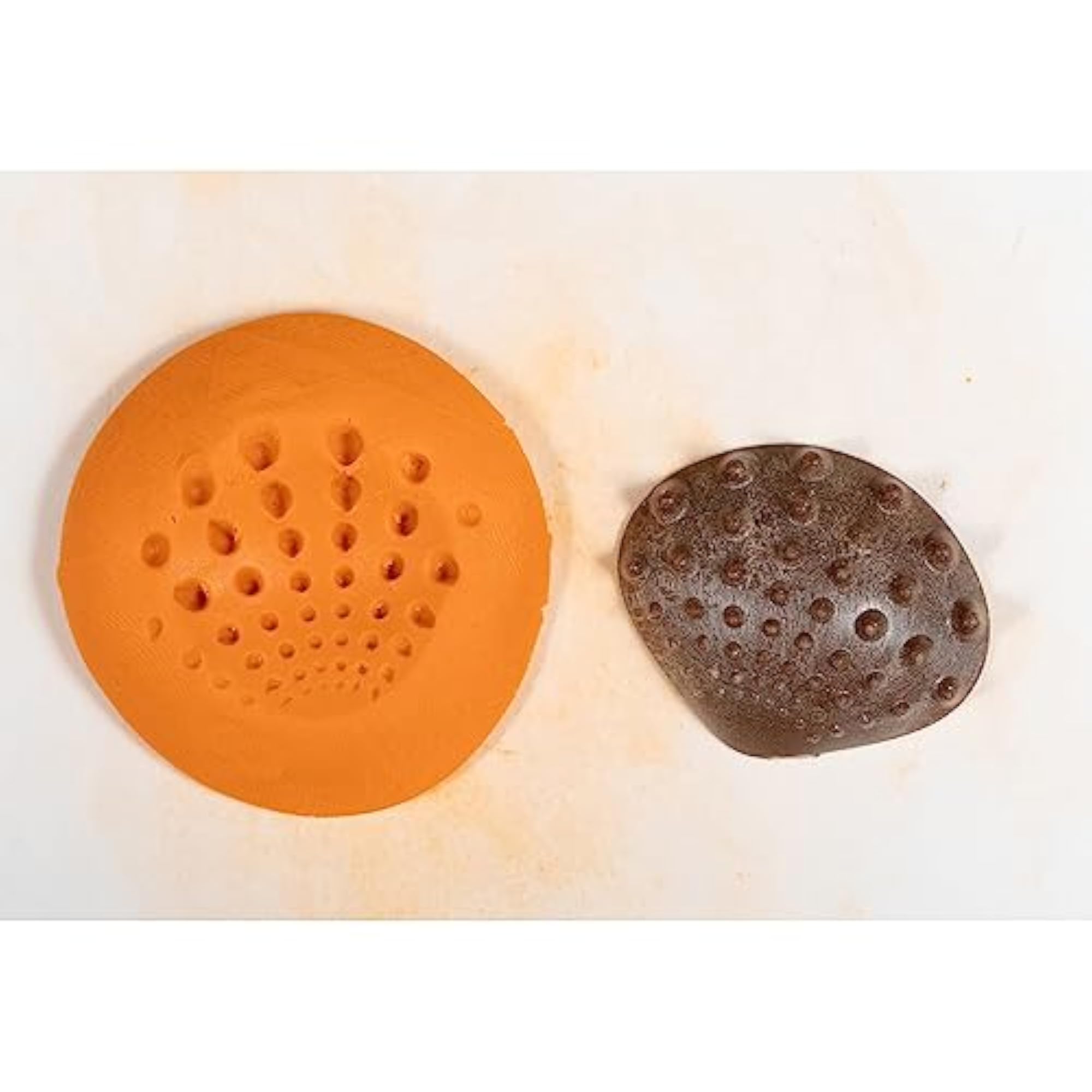 EDX Education ECO Friendly Tactile Sea Shells
